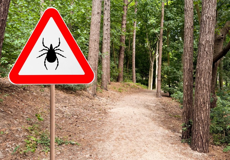 Señal de aviso por garrapatas en un sendero arbolado